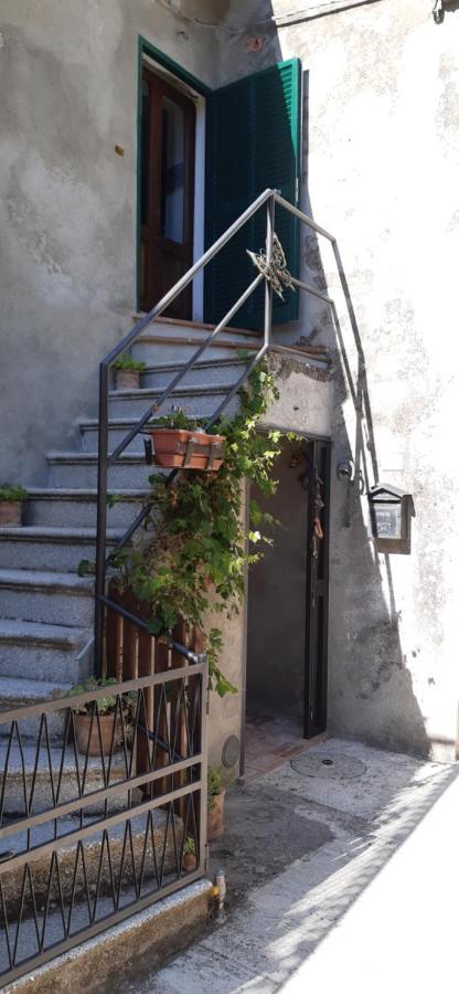 Nicolas House Campiglia dʼOrcia Exterior foto